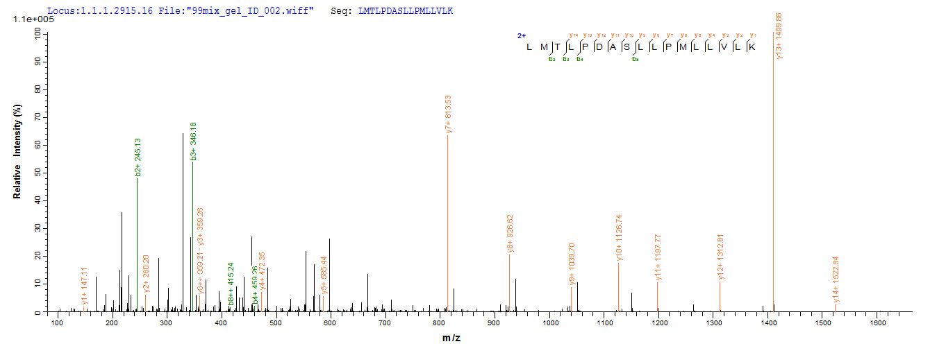 SEQUEST analysis of LC MS/MS spectra obtained from a run with QP6800 identified a match between this protein and the spectra of a peptide sequence that matches a region of TLR2 / CD282.