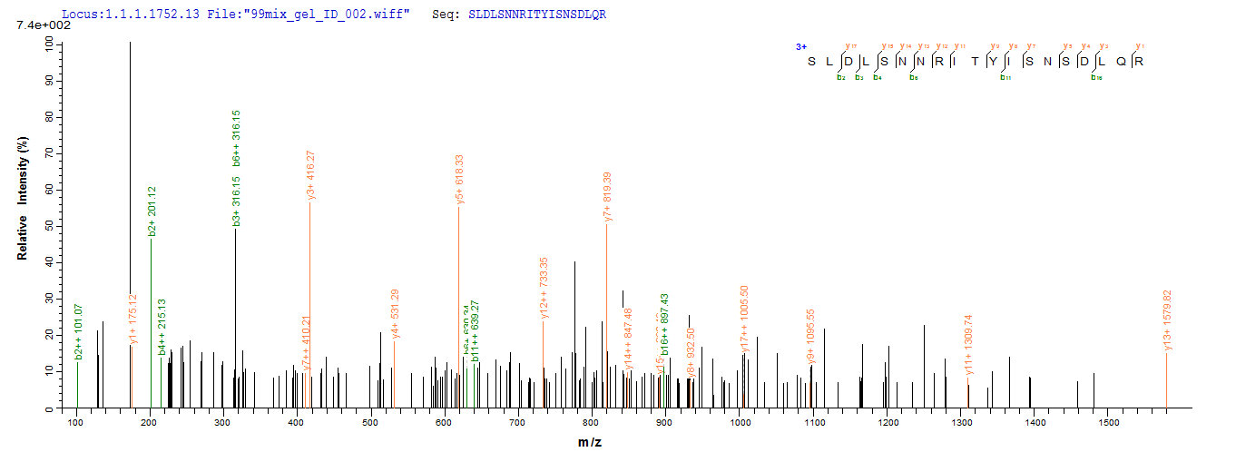 Additional SEQUEST analysis of the LC MS/MS spectra from QP6800 identified an additional between this protein and the spectra of another peptide sequence that matches a region of TLR2 / CD282 confirming successful recombinant synthesis.