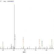 SEQUEST analysis of LC MS/MS spectra obtained from a run with QP6838 identified a match between this protein and the spectra of a peptide sequence that matches a region of TNF receptor-associated factor 6.