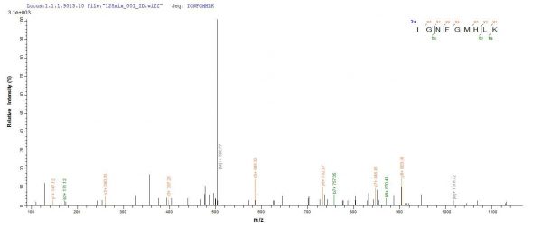 SEQUEST analysis of LC MS/MS spectra obtained from a run with QP6838 identified a match between this protein and the spectra of a peptide sequence that matches a region of TNF receptor-associated factor 6.