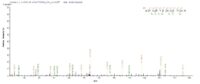 Additional SEQUEST analysis of the LC MS/MS spectra from QP6838 identified an additional between this protein and the spectra of another peptide sequence that matches a region of TNF receptor-associated factor 6 confirming successful recombinant synthesis.