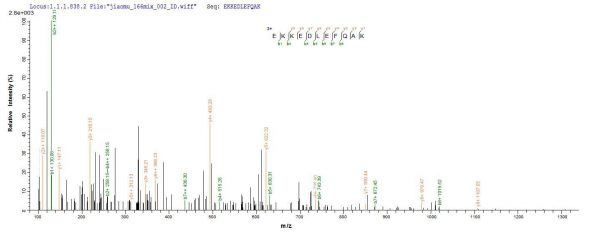 SEQUEST analysis of LC MS/MS spectra obtained from a run with QP6892 identified a match between this protein and the spectra of a peptide sequence that matches a region of DNA repair protein complementing XP-C cells.