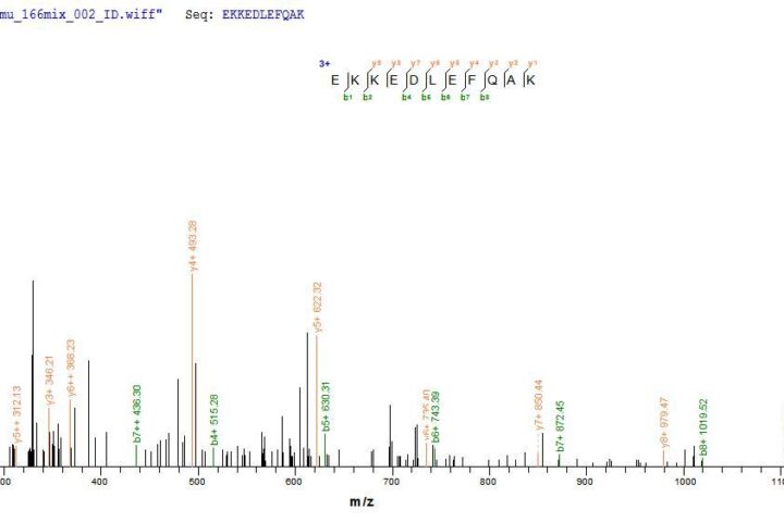 SEQUEST analysis of LC MS/MS spectra obtained from a run with QP6892 identified a match between this protein and the spectra of a peptide sequence that matches a region of DNA repair protein complementing XP-C cells.