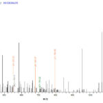 SEQUEST analysis of LC MS/MS spectra obtained from a run with QP6916 identified a match between this protein and the spectra of a peptide sequence that matches a region of EpCAM / TACSTD1.