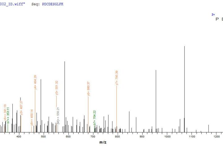 SEQUEST analysis of LC MS/MS spectra obtained from a run with QP6916 identified a match between this protein and the spectra of a peptide sequence that matches a region of EpCAM / TACSTD1.