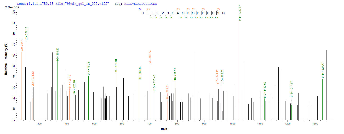 SEQUEST analysis of LC MS/MS spectra obtained from a run with QP7024 identified a match between this protein and the spectra of a peptide sequence that matches a region of Latent membrane protein 1.