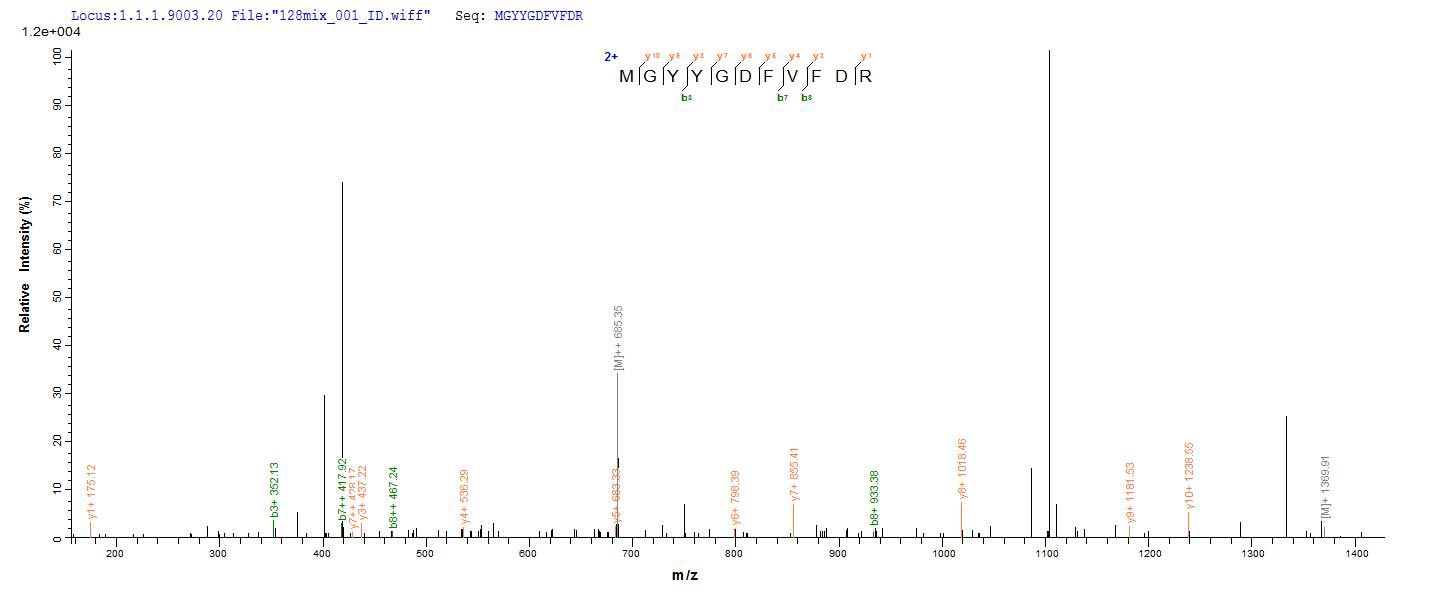 SEQUEST analysis of LC MS/MS spectra obtained from a run with QP7129 identified a match between this protein and the spectra of a peptide sequence that matches a region of Major outer membrane porin
