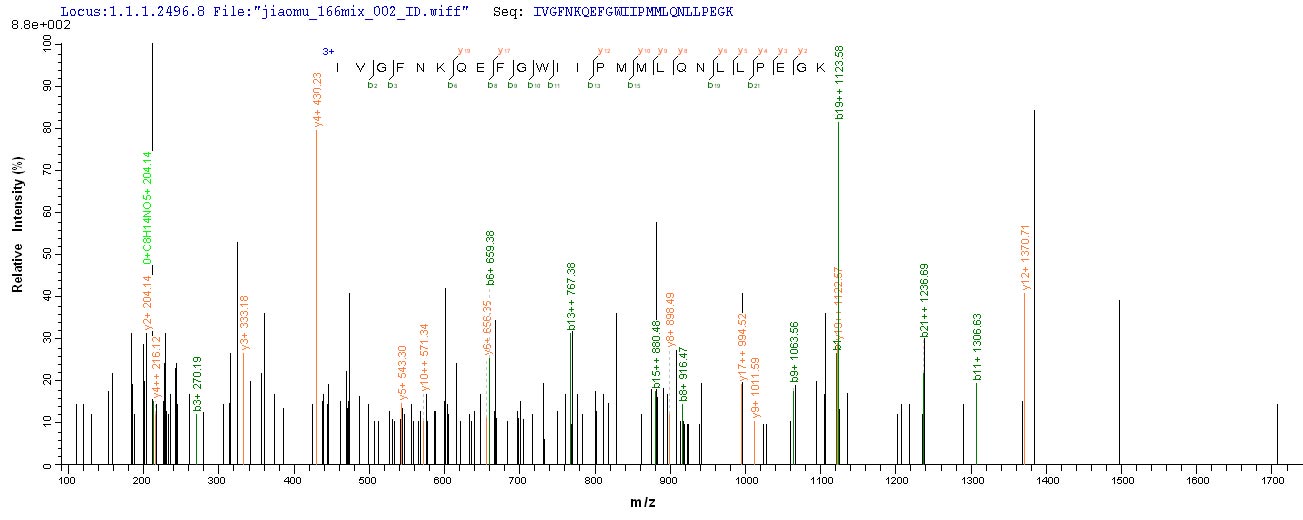 SEQUEST analysis of LC MS/MS spectra obtained from a run with QP7188 identified a match between this protein and the spectra of a peptide sequence that matches a region of Carboxylesterase 1C.
