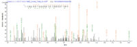 SEQUEST analysis of LC MS/MS spectra obtained from a run with QP7295 identified a match between this protein and the spectra of a peptide sequence that matches a region of Outer membrane protein C.