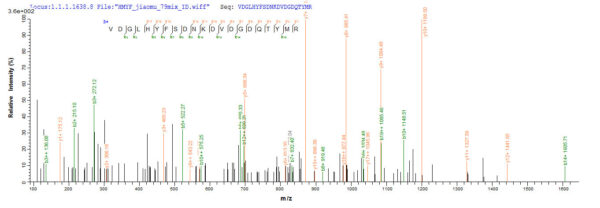 SEQUEST analysis of LC MS/MS spectra obtained from a run with QP7295 identified a match between this protein and the spectra of a peptide sequence that matches a region of Outer membrane protein C.