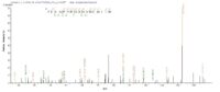 SEQUEST analysis of LC MS/MS spectra obtained from a run with QP7304 identified a match between this protein and the spectra of a peptide sequence that matches a region of Exfoliative toxin A.