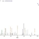 SEQUEST analysis of LC MS/MS spectra obtained from a run with QP7309 identified a match between this protein and the spectra of a peptide sequence that matches a region of Gamma-hemolysin component B.