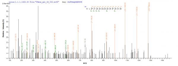 SEQUEST analysis of LC MS/MS spectra obtained from a run with QP7351 identified a match between this protein and the spectra of a peptide sequence that matches a region of Envelope glycoprotein GP350.