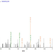 SEQUEST analysis of LC MS/MS spectra obtained from a run with QP7382 identified a match between this protein and the spectra of a peptide sequence that matches a region of Ag85C.