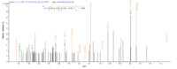 SEQUEST analysis of LC MS/MS spectra obtained from a run with QP7397 identified a match between this protein and the spectra of a peptide sequence that matches a region of Hygromycin-B 4-O-kinase.