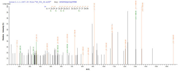 SEQUEST analysis of LC MS/MS spectra obtained from a run with QP7397 identified a match between this protein and the spectra of a peptide sequence that matches a region of Hygromycin-B 4-O-kinase.