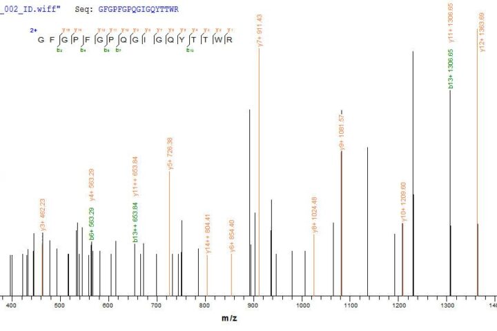 SEQUEST analysis of LC MS/MS spectra obtained from a run with QP7397 identified a match between this protein and the spectra of a peptide sequence that matches a region of Hygromycin-B 4-O-kinase.