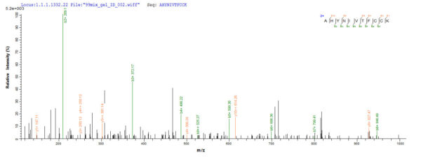 SEQUEST analysis of LC MS/MS spectra obtained from a run with QP7410 identified a match between this protein and the spectra of a peptide sequence that matches a region of Protein E7.
