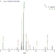 SEQUEST analysis of LC MS/MS spectra obtained from a run with QP7512 identified a match between this protein and the spectra of a peptide sequence that matches a region of ATP-dependent RNA helicase A.