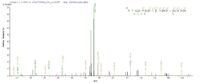 SEQUEST analysis of LC MS/MS spectra obtained from a run with QP7512 identified a match between this protein and the spectra of a peptide sequence that matches a region of ATP-dependent RNA helicase A.