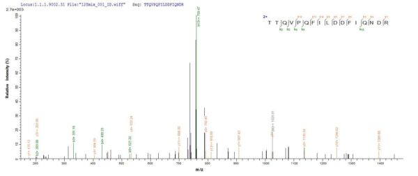 SEQUEST analysis of LC MS/MS spectra obtained from a run with QP7512 identified a match between this protein and the spectra of a peptide sequence that matches a region of ATP-dependent RNA helicase A.