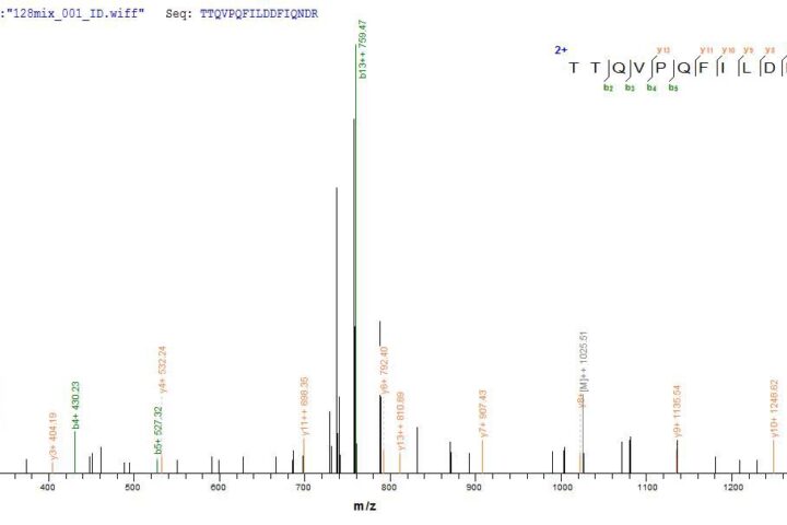 SEQUEST analysis of LC MS/MS spectra obtained from a run with QP7512 identified a match between this protein and the spectra of a peptide sequence that matches a region of ATP-dependent RNA helicase A.