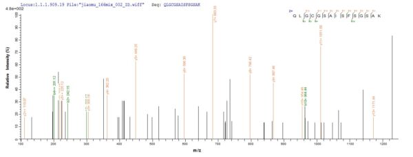 SEQUEST analysis of LC MS/MS spectra obtained from a run with QP7641 identified a match between this protein and the spectra of a peptide sequence that matches a region of Cd163.