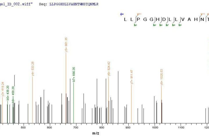 SEQUEST analysis of LC MS/MS spectra obtained from a run with QP7649 identified a match between this protein and the spectra of a peptide sequence that matches a region of PLBD2.