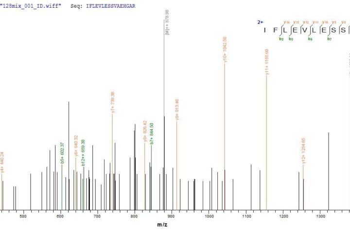 SEQUEST analysis of LC MS/MS spectra obtained from a run with QP7657 identified a match between this protein and the spectra of a peptide sequence that matches a region of TIGIT / VSTM3.