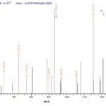 SEQUEST analysis of LC MS/MS spectra obtained from a run with QP7706 identified a match between this protein and the spectra of a peptide sequence that matches a region of Adipocyte enhancer-binding protein 1.