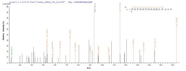 SEQUEST analysis of LC MS/MS spectra obtained from a run with QP7706 identified a match between this protein and the spectra of a peptide sequence that matches a region of Adipocyte enhancer-binding protein 1.