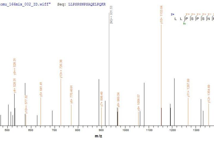 SEQUEST analysis of LC MS/MS spectra obtained from a run with QP7706 identified a match between this protein and the spectra of a peptide sequence that matches a region of Adipocyte enhancer-binding protein 1.