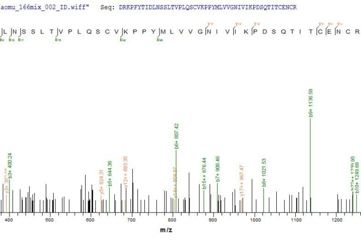 SEQUEST analysis of LC MS/MS spectra obtained from a run with QP7708 identified a match between this protein and the spectra of a peptide sequence that matches a region of ERVK-6.