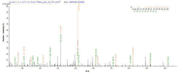 SEQUEST analysis of LC MS/MS spectra obtained from a run with QP8020 identified a match between this protein and the spectra of a peptide sequence that matches a region of Methylosome protein 50.