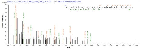SEQUEST analysis of LC MS/MS spectra obtained from a run with QP8166 identified a match between this protein and the spectra of a peptide sequence that matches a region of IFIH1.
