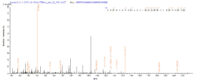 SEQUEST analysis of LC MS/MS spectra obtained from a run with QP8179 identified a match between this protein and the spectra of a peptide sequence that matches a region of Delta-like protein 3.