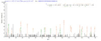 Additional SEQUEST analysis of the LC MS/MS spectra from QP8179 identified an additional between this protein and the spectra of another peptide sequence that matches a region of Delta-like protein 3 confirming successful recombinant synthesis.