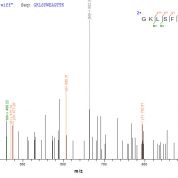 SEQUEST analysis of LC MS/MS spectra obtained from a run with QP8294 identified a match between this protein and the spectra of a peptide sequence that matches a region of Capsid protein.