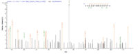 SEQUEST analysis of LC MS/MS spectra obtained from a run with QP8294 identified a match between this protein and the spectra of a peptide sequence that matches a region of Capsid protein.