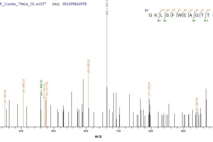 SEQUEST analysis of LC MS/MS spectra obtained from a run with QP8294 identified a match between this protein and the spectra of a peptide sequence that matches a region of Capsid protein.