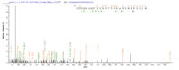 Additional SEQUEST analysis of the LC MS/MS spectra from QP8294 identified an additional between this protein and the spectra of another peptide sequence that matches a region of Capsid protein confirming successful recombinant synthesis.