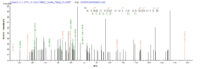 SEQUEST analysis of LC MS/MS spectra obtained from a run with QP8581 identified a match between this protein and the spectra of a peptide sequence that matches a region of Beta-lactamase.