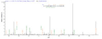 SEQUEST analysis of LC MS/MS spectra obtained from a run with QP8660 identified a match between this protein and the spectra of a peptide sequence that matches a region of BMP-2.