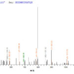 SEQUEST analysis of LC MS/MS spectra obtained from a run with QP8765 identified a match between this protein and the spectra of a peptide sequence that matches a region of Annexin A1.