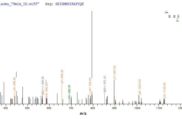 SEQUEST analysis of LC MS/MS spectra obtained from a run with QP8765 identified a match between this protein and the spectra of a peptide sequence that matches a region of Annexin A1.