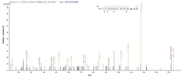 SEQUEST analysis of LC MS/MS spectra obtained from a run with QP8796 identified a match between this protein and the spectra of a peptide sequence that matches a region of Vacuolating cytotoxin autotransporter.