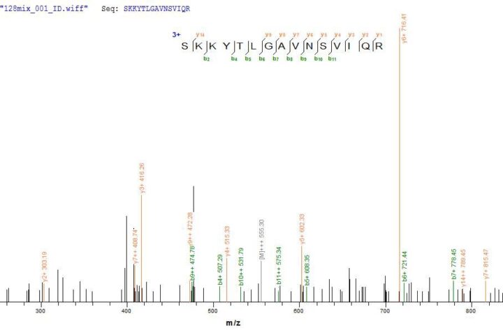 SEQUEST analysis of LC MS/MS spectra obtained from a run with QP8801 identified a match between this protein and the spectra of a peptide sequence that matches a region of Cystathionine beta-lyase MetC.