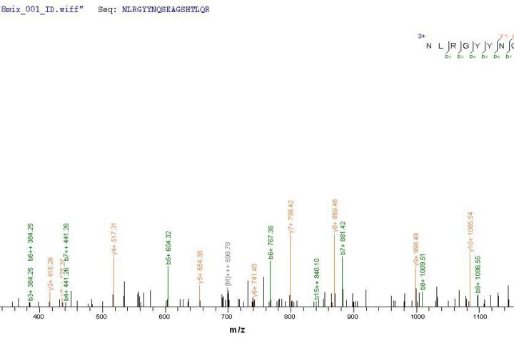 SEQUEST analysis of LC MS/MS spectra obtained from a run with QP8824 identified a match between this protein and the spectra of a peptide sequence that matches a region of HLA-B.