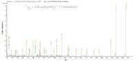 Additional SEQUEST analysis of the LC MS/MS spectra from QP8824 identified an additional between this protein and the spectra of another peptide sequence that matches a region of HLA-B confirming successful recombinant synthesis.