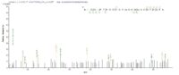 Additional SEQUEST analysis of the LC MS/MS spectra from QP8829 identified an additional between this protein and the spectra of another peptide sequence that matches a region of Cathepsin F confirming successful recombinant synthesis.